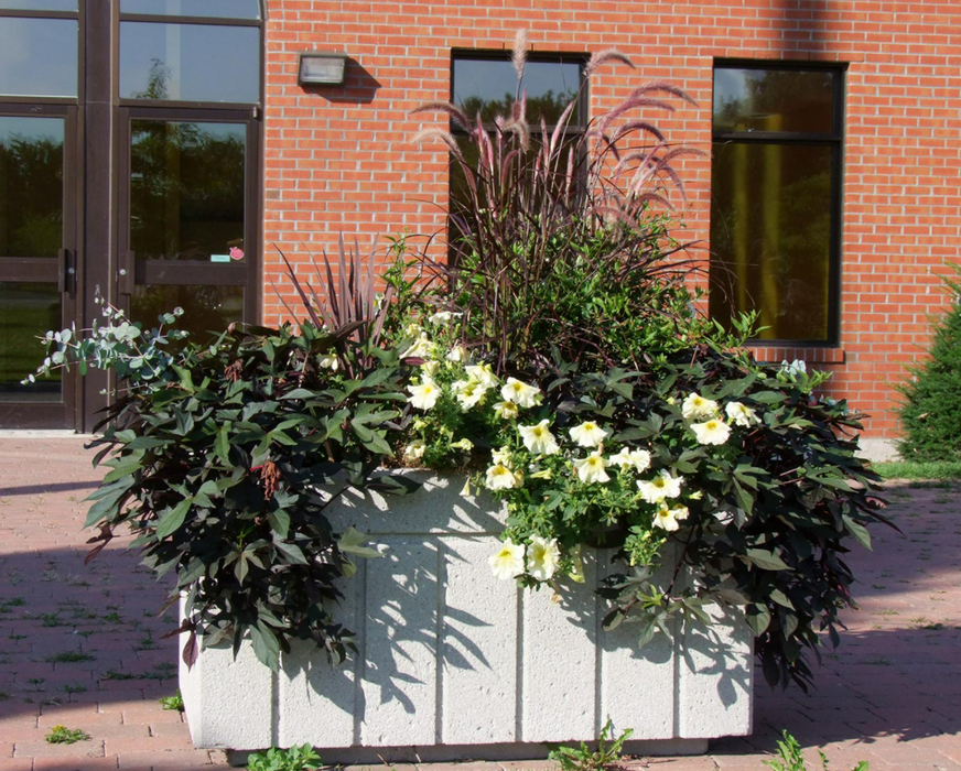 bac fleur rectangle mu68-1