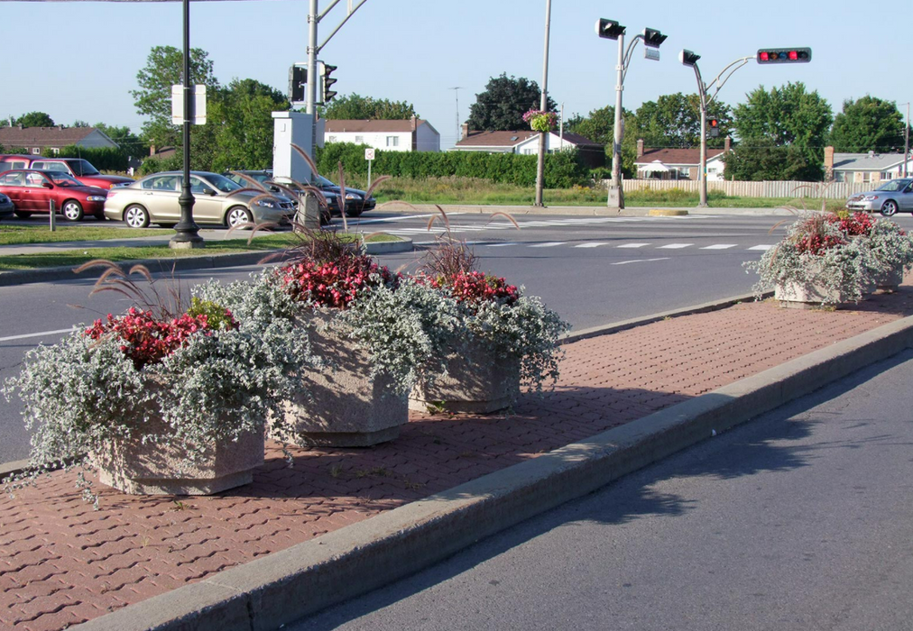 bac fleurs hexagonal MU55